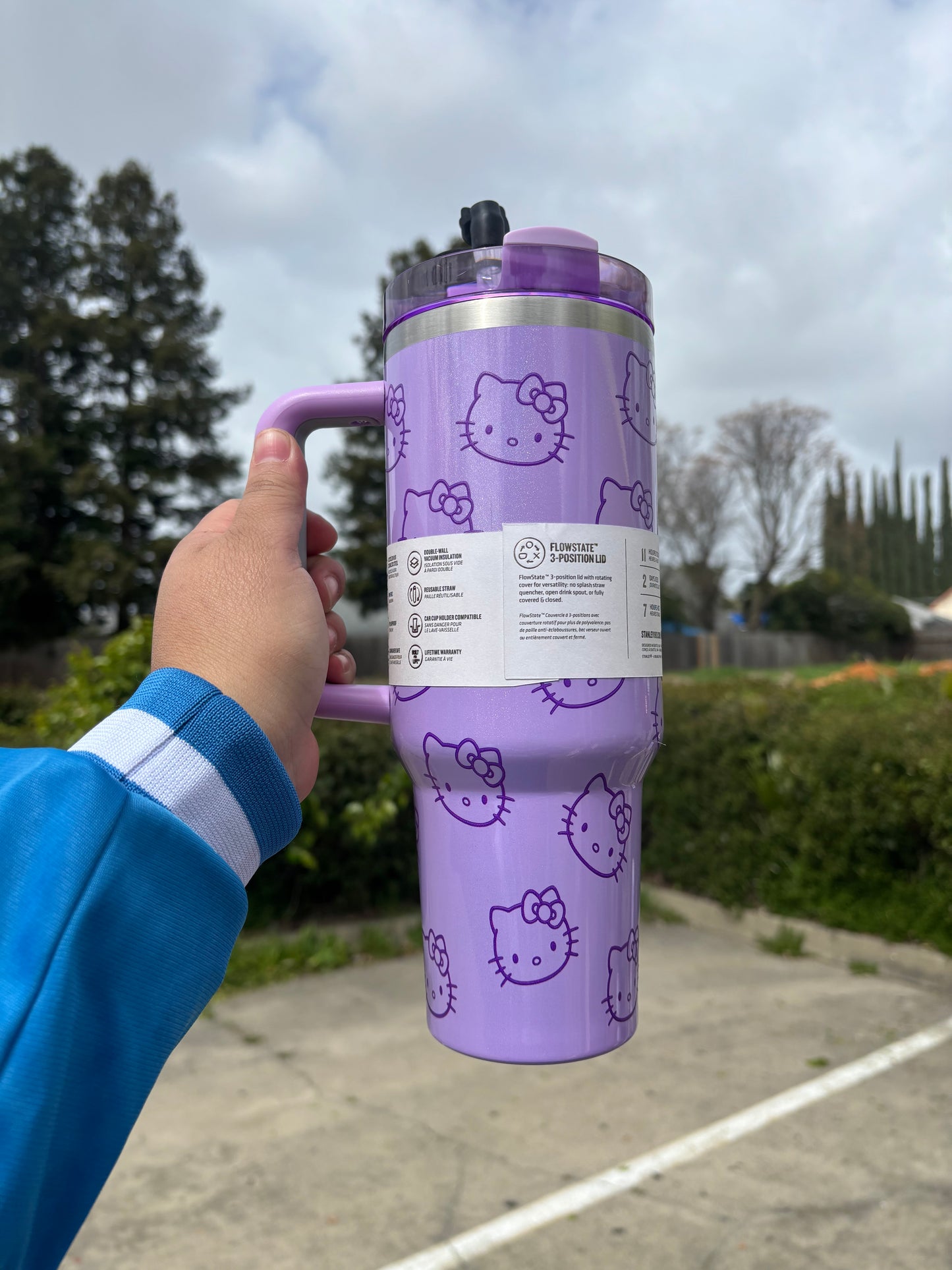 HELLO KITTY purple 40oz Tumbler STANLEY cup