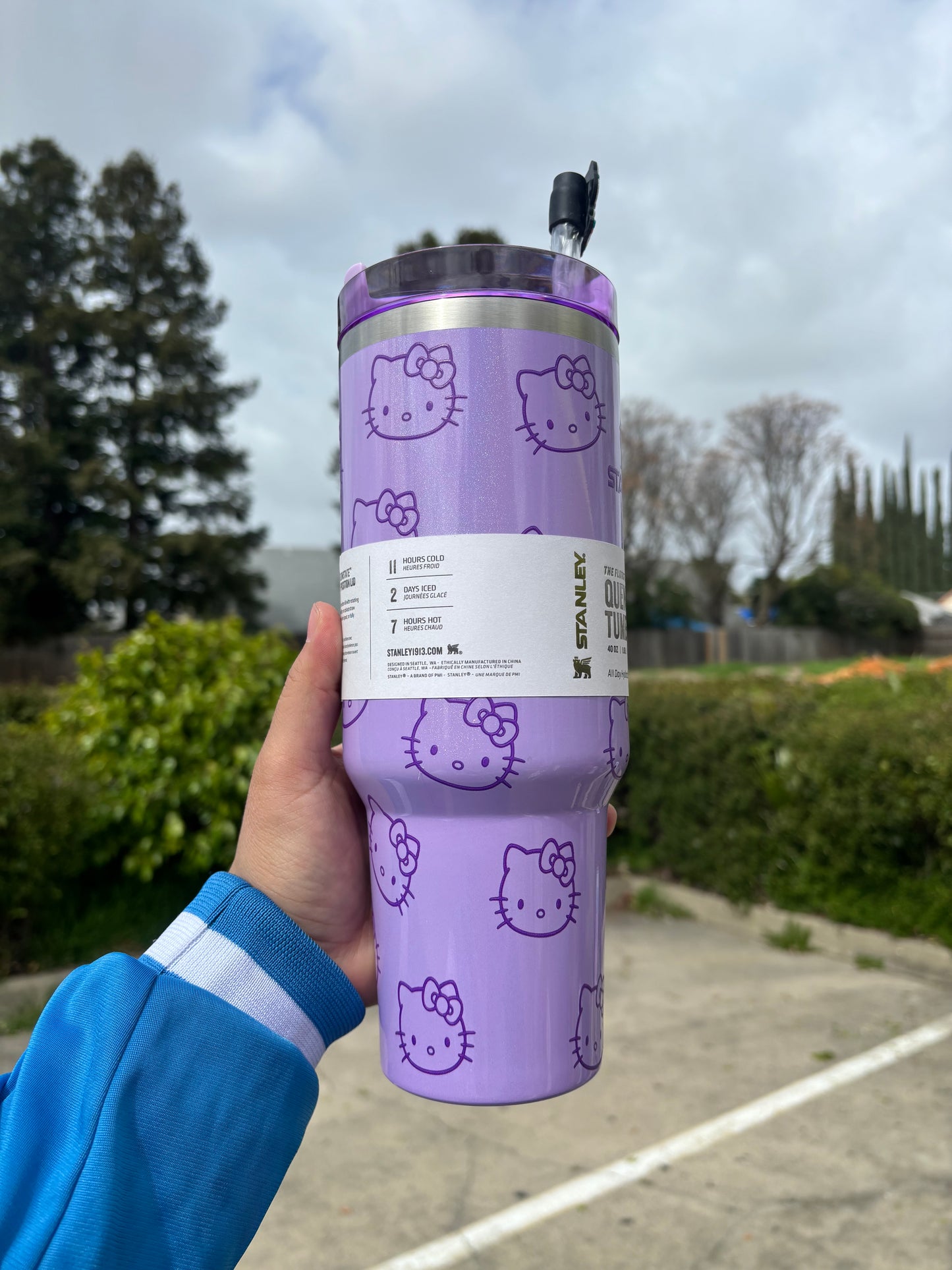 HELLO KITTY purple 40oz Tumbler STANLEY cup